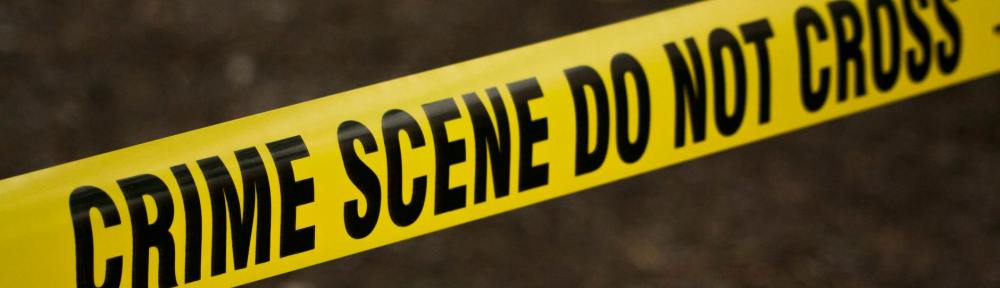 UPDATED: Lambeth’s top police officer urged to act on Myatt’s Fields crime by MP Florence Eshalomi and your local Labour&nbsp;team.